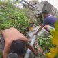Petugas PDAM Saat Melakukan Perbaikan Pipa Diwilayah Intak Desa Kajuwou Kecamatan Ampana Kota.