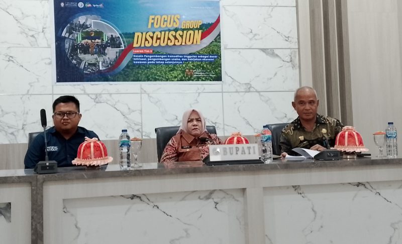 Wabup Touna, Surya Hadir Sekaligus Membuka Kegiatan FGD Program Ekspedisi Patriot.
