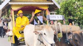 Bupati Touna, Ilham Lawidu Duduk di Gerobak Mengikuti Karnaval Memeriahkan HUT Touna.