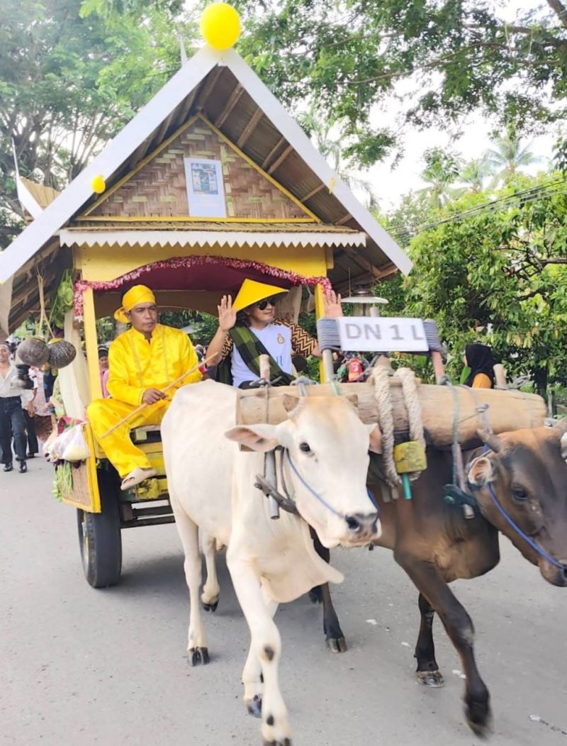 Bupati Touna, Ilham Lawidu Duduk di Gerobak Mengikuti Karnaval Memeriahkan HUT Touna.