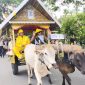 Bupati Touna, Ilham Lawidu Duduk di Gerobak Mengikuti Karnaval Memeriahkan HUT Touna.