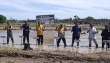 Gerakan Tanam Serentak 10.000 hektar di Lokasi Cetak Sawah Rakyat Desa Lemoro Kecamatan Tojo.