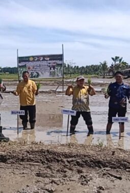Pemda Touna Melakukan Gerakan Tanam Serentak di Desa Lemoro