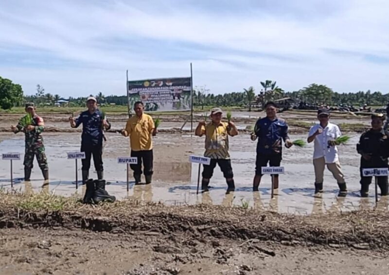 Gerakan Tanam Serentak 10.000 hektar di Lokasi Cetak Sawah Rakyat Desa Lemoro Kecamatan Tojo.