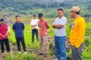 Bupati Ilham Lawidu Didampingi Kadis PUPR Meninju Lokasi Perencanaan Pembangunan dan Normalisasi Sungai di Desa Mpoa Kecamatan Ampana Tete.