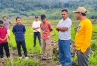 Bupati Ilham Lawidu Didampingi Kadis PUPR Meninju Lokasi Perencanaan Pembangunan dan Normalisasi Sungai di Desa Mpoa Kecamatan Ampana Tete.