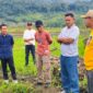 Bupati Ilham Lawidu Didampingi Kadis PUPR Meninju Lokasi Perencanaan Pembangunan dan Normalisasi Sungai di Desa Mpoa Kecamatan Ampana Tete.